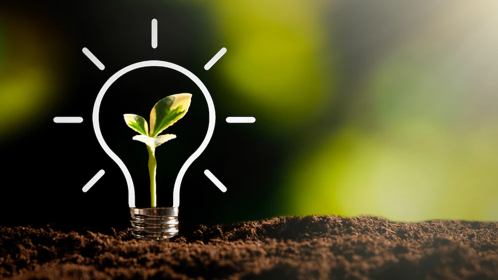 Speiseabfall richtig entsorgen